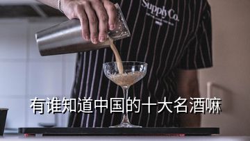 有谁知道中国的十大名酒嘛