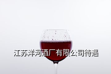 江苏洋河酒厂有限公司待遇