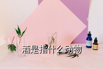 酒是指什么动物