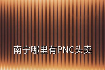 南宁哪里有PNC头卖