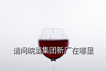 请问皖酒集团新厂在哪里