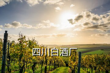 四川白酒厂