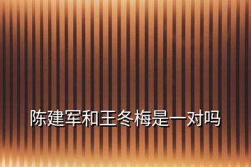 陈建军和王冬梅是一对吗