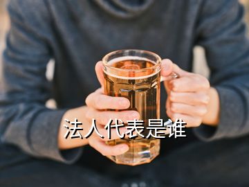 法人代表是谁