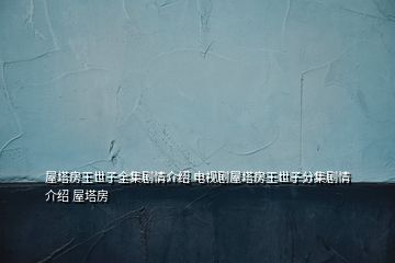 屋塔房王世子全集剧情介绍 电视剧屋塔房王世子分集剧情介绍 屋塔房