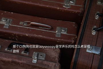 那个CV狗狗也就是lazysnoopy是学声乐的吗怎么老是唱歌啊