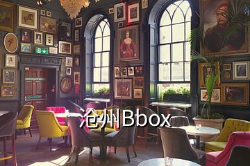 沧州Bbox