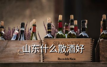 山东什么散酒好