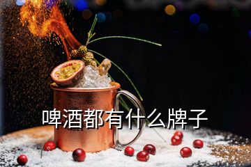 啤酒都有什么牌子