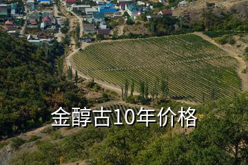 金醇古10年价格