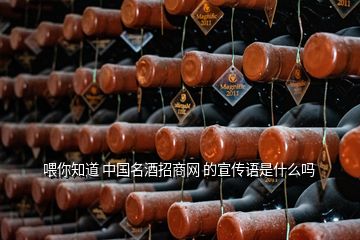 喂你知道 中国名酒招商网 的宣传语是什么吗