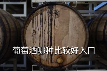 葡萄酒哪种比较好入口