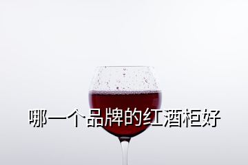 哪一个品牌的红酒柜好