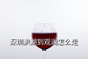 深圳洪湖到观澜怎么走