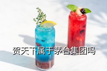 贺天下属于茅台集团吗