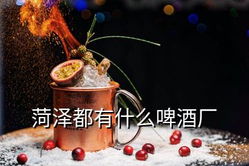 菏泽都有什么啤酒厂