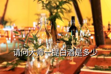 请问大师一提白酒是多少