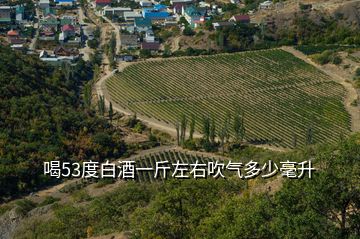 喝53度白酒一斤左右吹气多少毫升