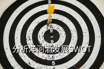 分析洋河酒发展SWOT