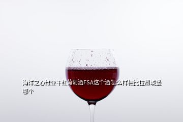 海洋之心维亚干红葡萄酒FSA这个酒怎么样相比拉昂城堡哪个