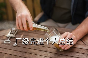 厂级先进个人总结