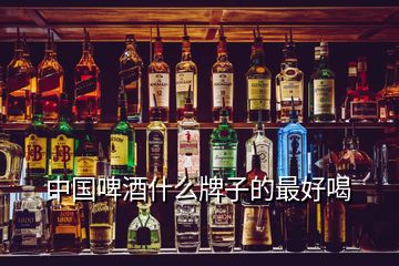 中国啤酒什么牌子的最好喝