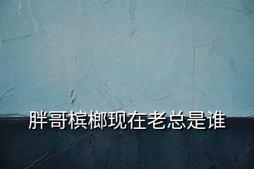 胖哥槟榔现在老总是谁