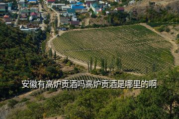 安徽有高炉贡酒吗高炉贡酒是哪里的啊