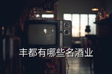 丰都有哪些名酒业