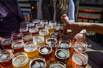 小弟想知道天津地区有几个大的水果批发市场最好是有具体的地址