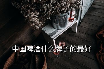 中国啤酒什么牌子的最好