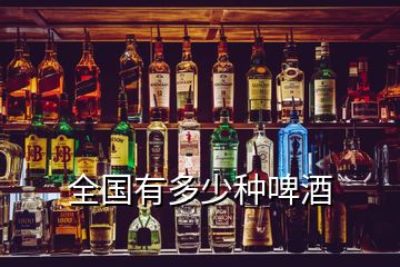 全国有多少种啤酒