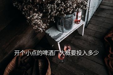 开个小点的啤酒厂大概要投入多少