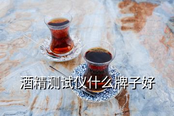 酒精测试仪什么牌子好