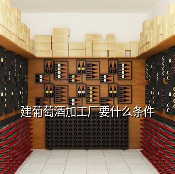 建葡萄酒加工厂要什么条件