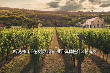 听说房山正在发展红酒产业带具体是什么情况啊