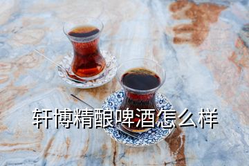 轩博精酿啤酒怎么样