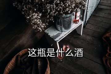 这瓶是什么酒