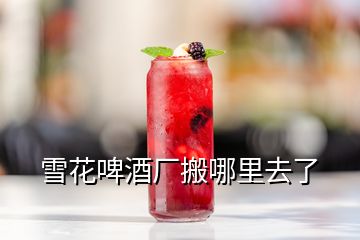 雪花啤酒厂搬哪里去了