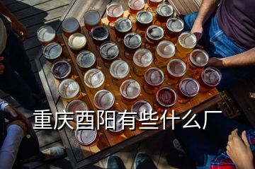 重庆酉阳有些什么厂