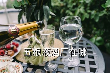 五粮液酒厂在哪