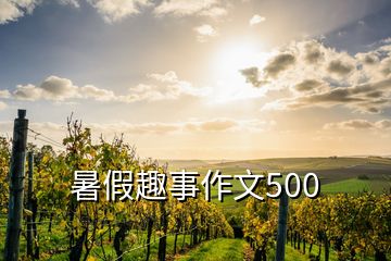 暑假趣事作文500