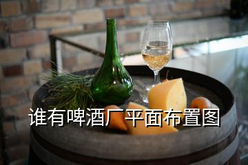 谁有啤酒厂平面布置图