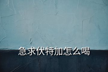 急求伏特加怎么喝