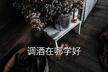 调酒在哪学好