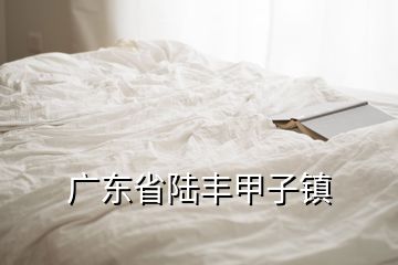 广东省陆丰甲子镇