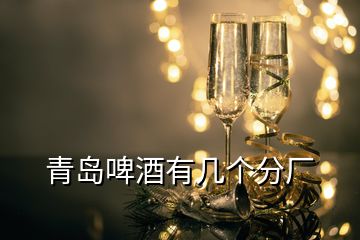 青岛啤酒有几个分厂