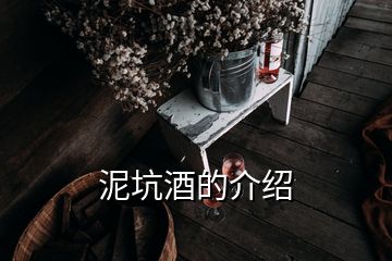 泥坑酒的介绍