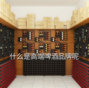 什么是高端啤酒品牌呢