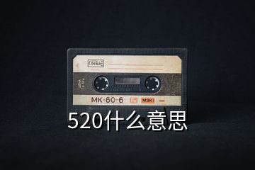 520什么意思